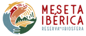 Meseta Ibérica